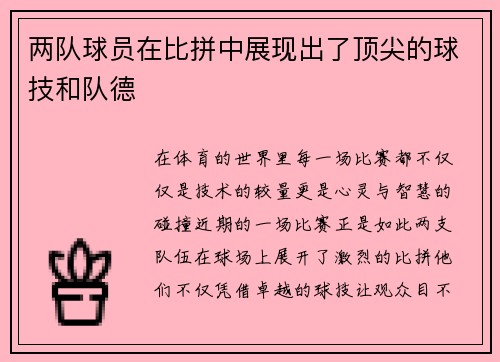 两队球员在比拼中展现出了顶尖的球技和队德
