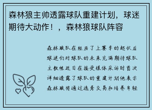 森林狼主帅透露球队重建计划，球迷期待大动作！，森林狼球队阵容