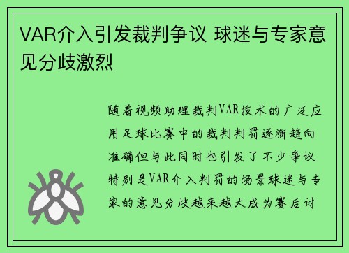 VAR介入引发裁判争议 球迷与专家意见分歧激烈