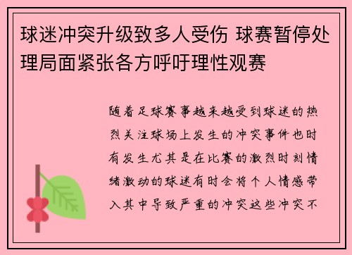 球迷冲突升级致多人受伤 球赛暂停处理局面紧张各方呼吁理性观赛